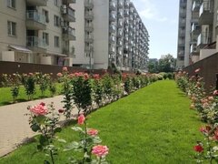 Obor, Colentina, Teiul Doamnei, 12 min. metroul Obor